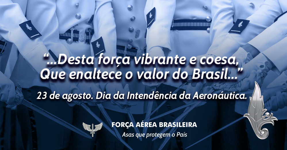 dia intendencia 2017